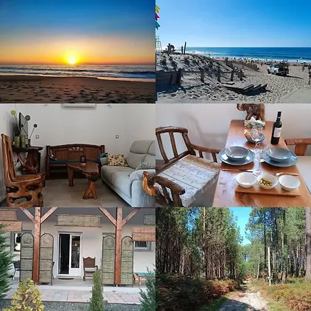 Newly Build House In Nature *